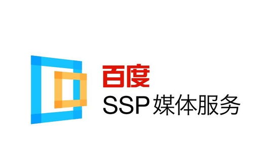 精准蜘蛛池